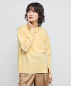 5Gノアリスクルーニットプルオーバー