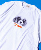【GLOSTER/グロスター】DOG&CAT 犬猫プリントTシャツ