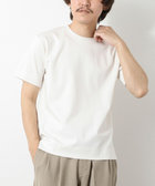 ［WEB限定 SPECIAL PRICE！］《ビジカジ対応》ハイゲージ シルケットポンチ ドレスCN T 25SS