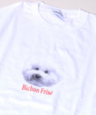 【GLOSTER/グロスター】DOG&CAT 犬猫プリントTシャツ