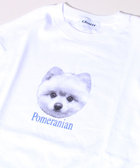 【GLOSTER/グロスター】DOG&CAT 犬猫プリントTシャツ