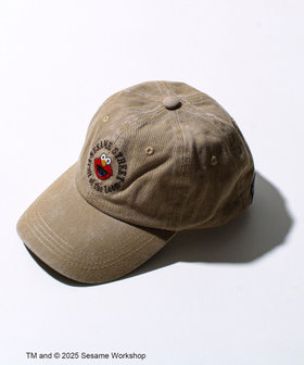 ［WEB限定 SPECIAL PRICE！］【SESAME STREET × FRUIT OF THE LOOM】ツイルキャップ