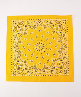 【HAV-A-HANK】PAISLEY BANDANNA
