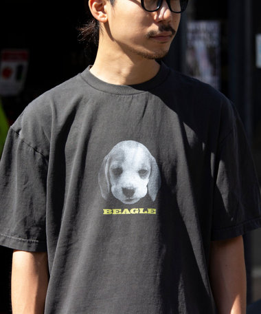 ［WEB限定 TIME SALE！］【GLOSTER/グロスター】DOG&CAT 犬猫プリント ピグメント プリントTシャツ