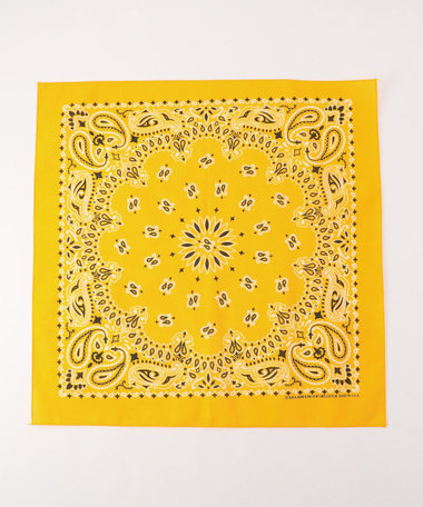 【HAV-A-HANK】PAISLEY BANDANNA