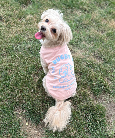 【FR PETS】RUGBY STAR Tee