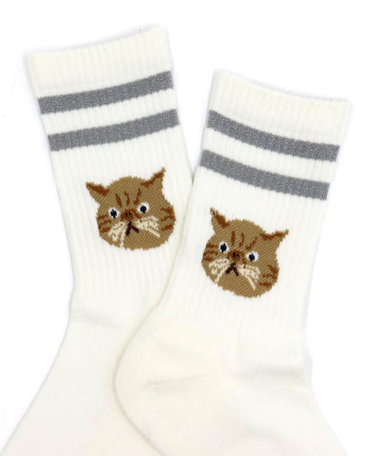 【ROSTER SOX/ロスターソックス】CAT