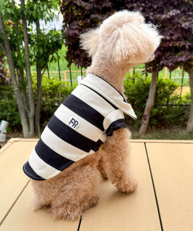 【FR PETS】衿付きボーダー半袖Tee