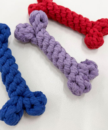 【FR PETS】PET TOY デンタルボーン