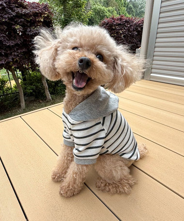 【FR PETS】ボーダーパーカー