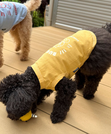 【FR PETS】RUGBY STAR Tee