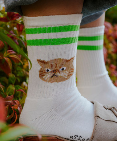 【ROSTER SOX/ロスターソックス】CAT