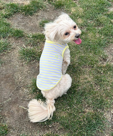 【FR PETS】FR刺繍ボーダーノースリーブTee