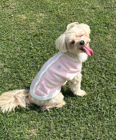 【FR PETS】FR刺繍ハート釦ニットプルオーバー