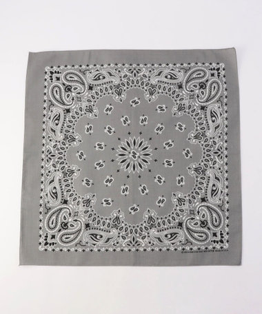 【HAV-A-HANK】PAISLEY BANDANNA