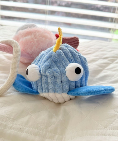 【FR PETS】PET TOY SEA
