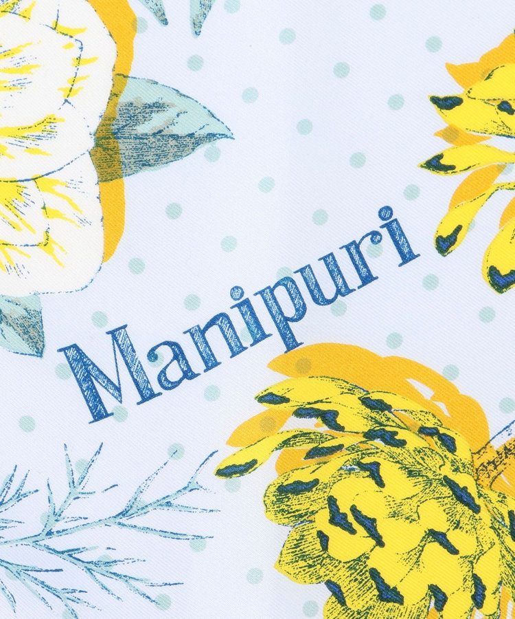 manipuri/マニプリ】シルクスカーフ65（5-0408-1-14-120