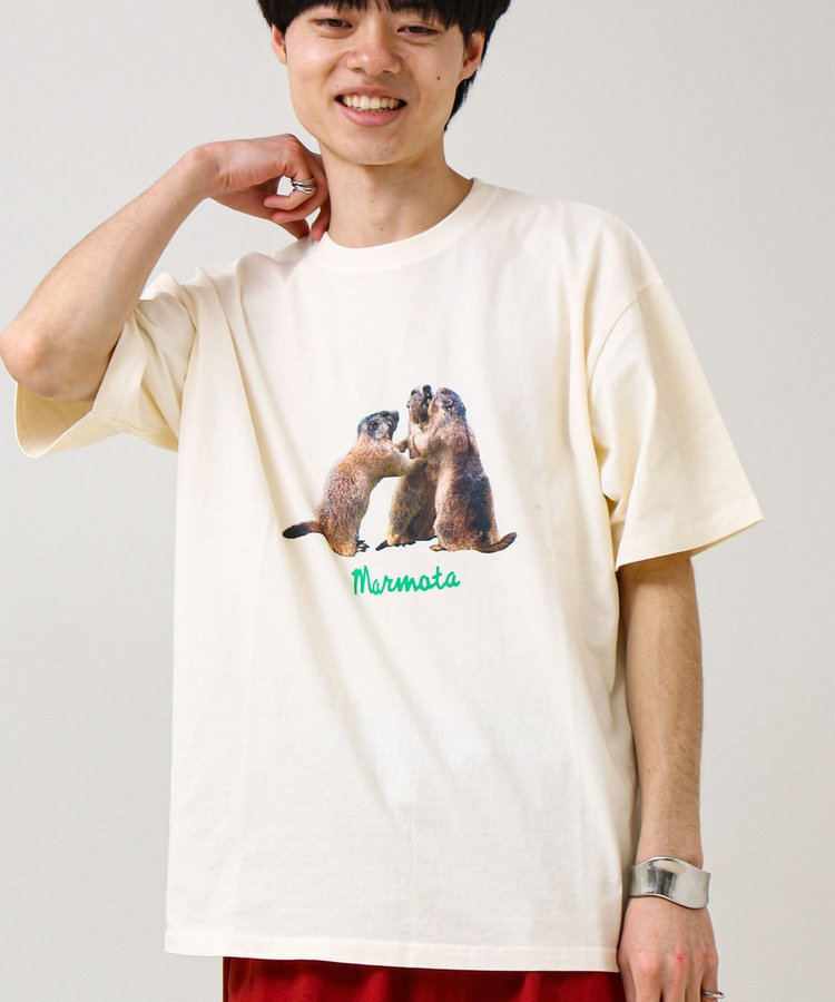 Dry Clean Only パール　アニマル　Tシャツ WEB限定 GW SPECIAL PRICE】【大人も着やすい】リアルアニマル