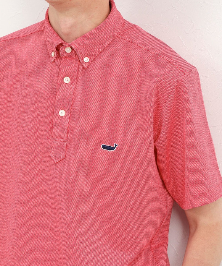 《ビジカジ対応》クジラ Polo ボタンダウンポロシャツ 26SS