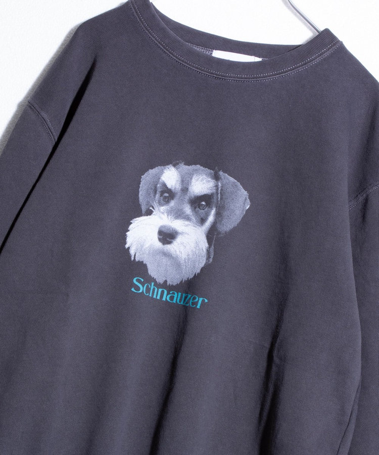 GLOSTER/グロスター】DOG&CAT 犬猫ピグメント クルーネック
