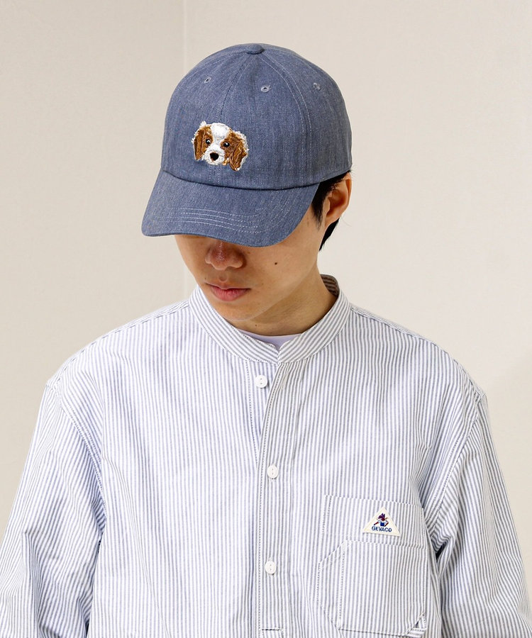 【カラー追加して再登場】WASHED DOG embroidery CAP