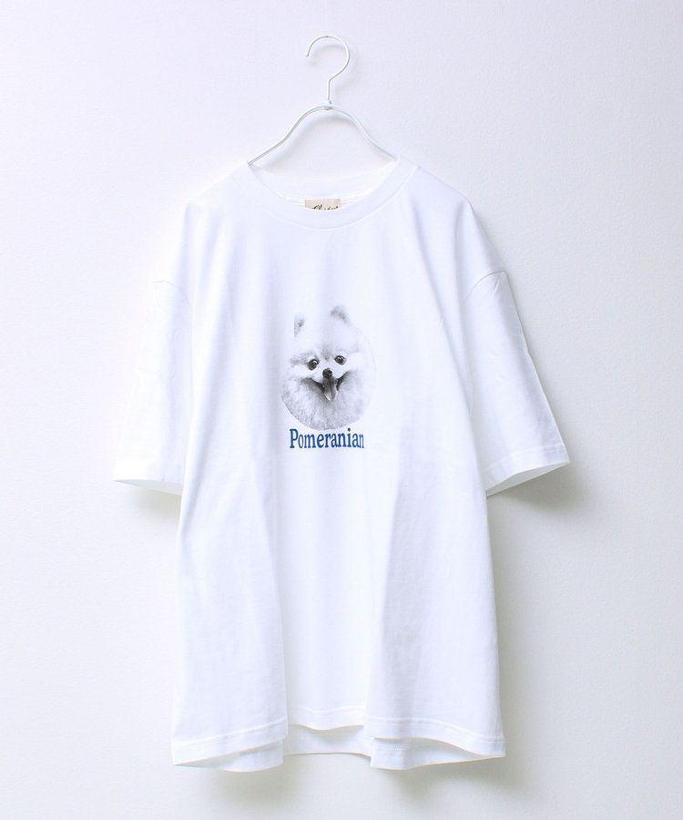 FREDY＆GLOSTER限定 TIME SALE！］【シリーズ累計人気】DOG＆CAT
