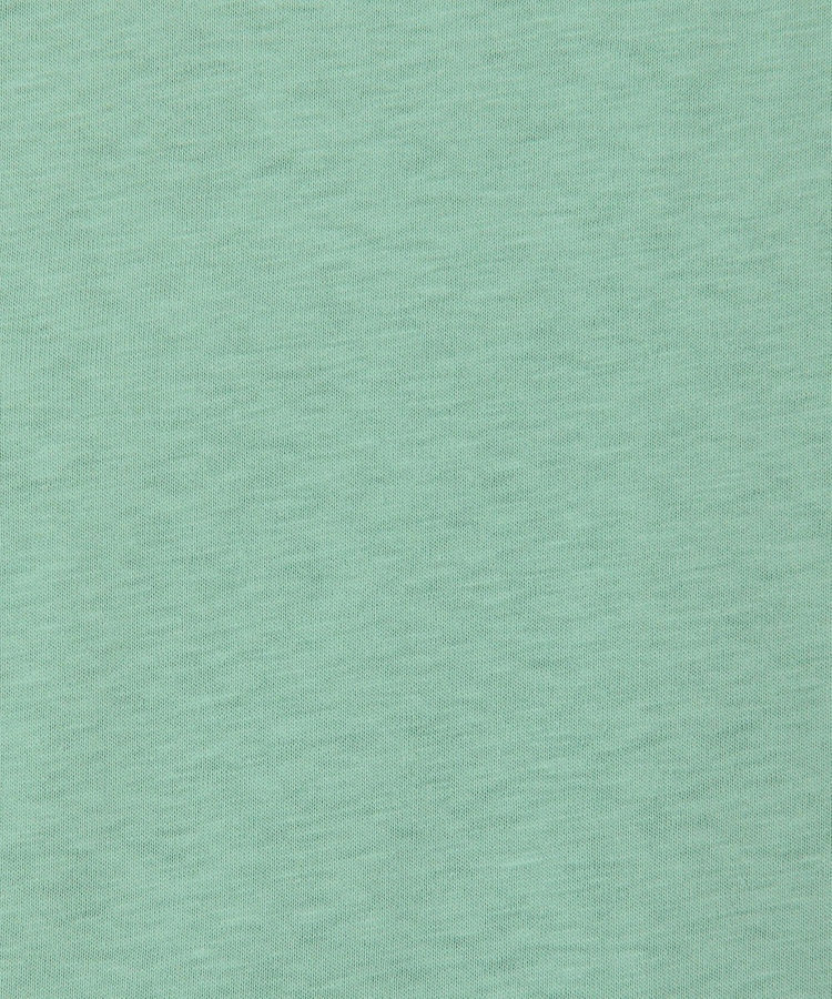 【FRUIT OF THE LOOM】19/-スラブ天竺FruitロゴＴ