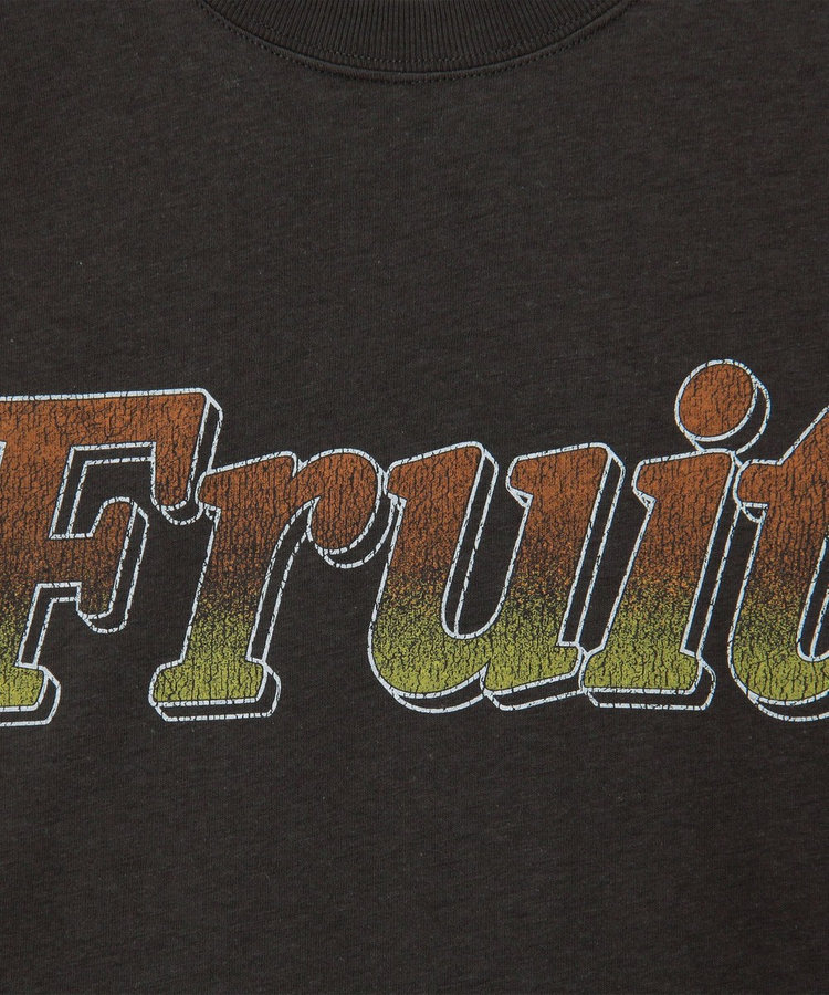 【FRUIT OF THE LOOM】19/-スラブ天竺FruitロゴＴ