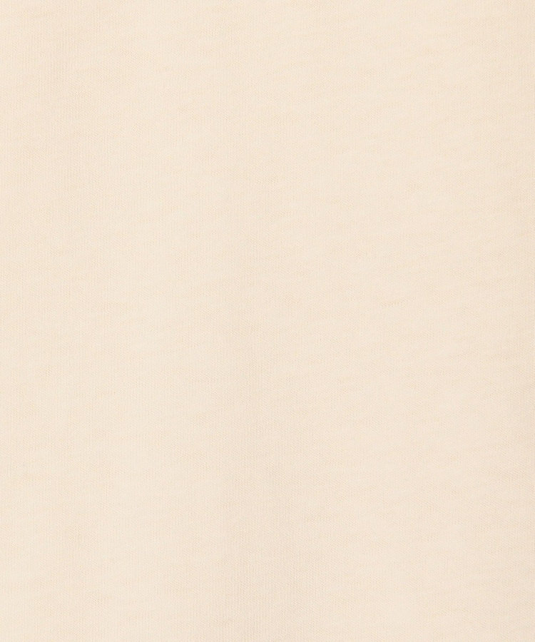 【FRUIT OF THE LOOM】19/-スラブ天竺FruitロゴＴ